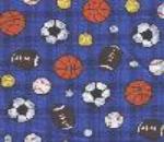 SPORTS BALLS ON BLUE PLAID