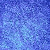 TINY BLUE FLORAL MED  FL30