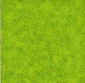 FINELIGHT GREEN LEAF  FL26